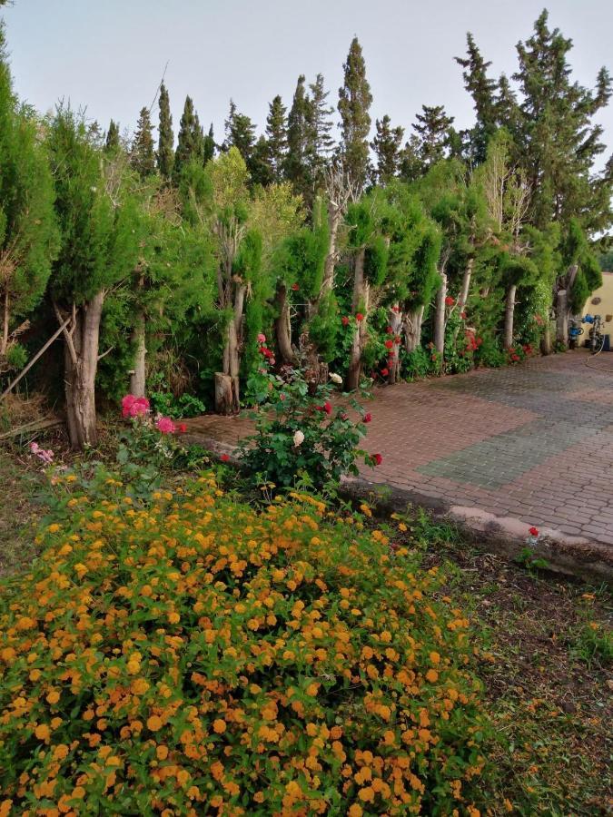 Appartamento In Orosei In Villa Delle Arance 300Mt Dalla Spiaggia Exterior foto